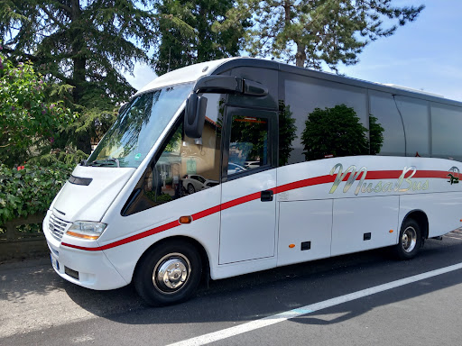 Musa Bus Ncc Taxi Gallery - Italy
