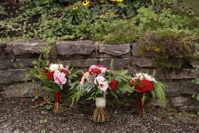 Hyacinth Bean Florist