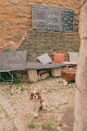 Photo n°3 de Chichi Pompon à Forcalquier (Café)