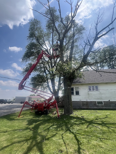 On Point Tree Care (formerly Hoosier Stump Remover)