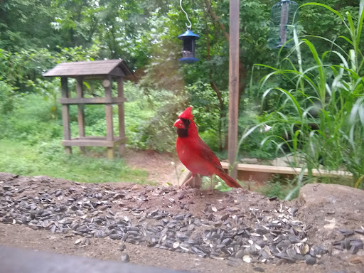 Clifty Falls State Park Nature Center - Thumbnail