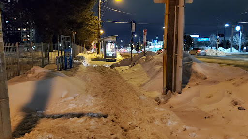 Steeles Ave West at Tangreen Crt - Canada