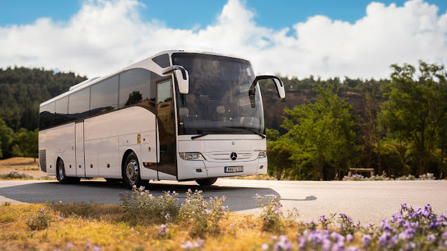 VIADORO BUS SERVICES