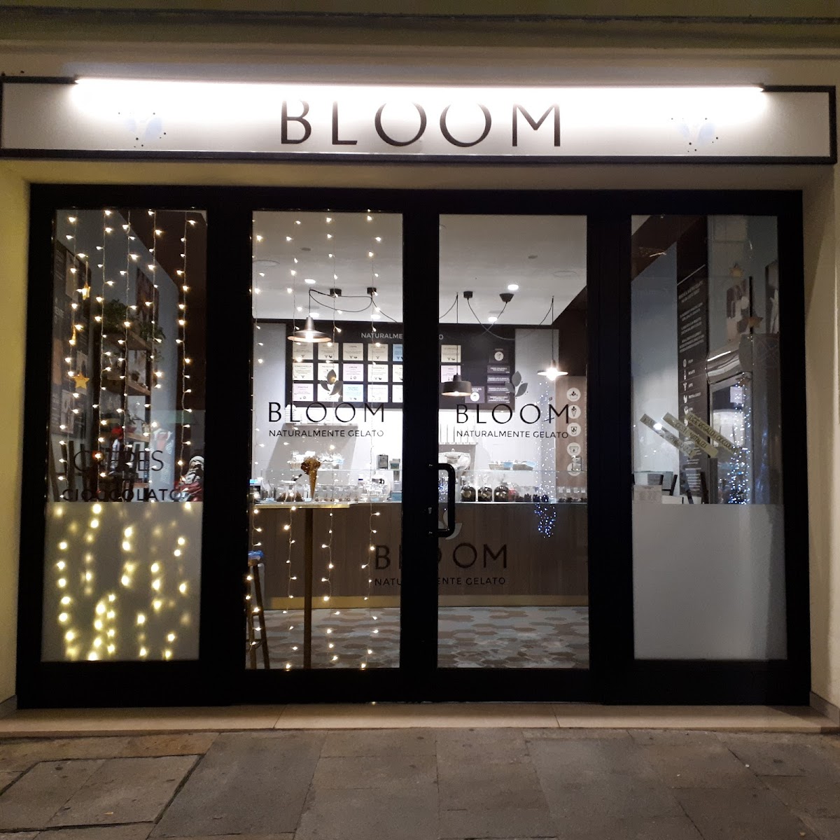 Bloom — photo 1