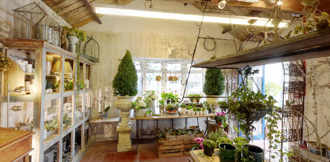 Reviews of Flower Garden in Newport - Florist