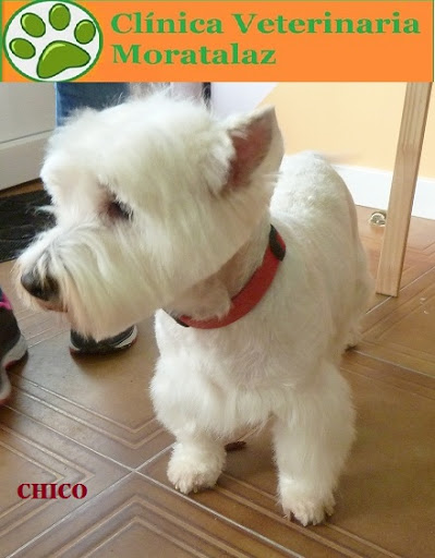 Clínica Veterinaria Moratalaz