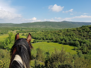 Photo n°2 de Equi-Larzac à La Vacquerie-et-Saint-Martin-de-Castries (Ranch)