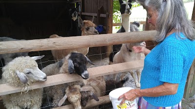 Liles Acres Organic Farm