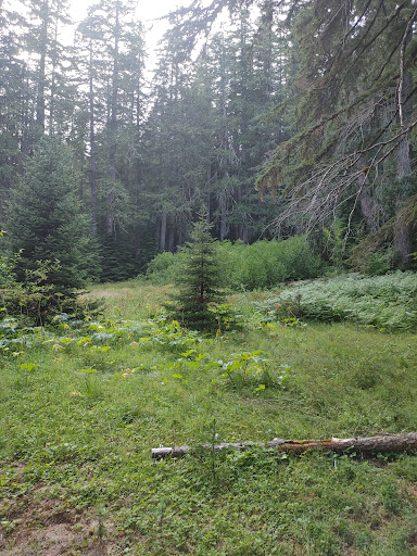 Diamond Meadows - Visual