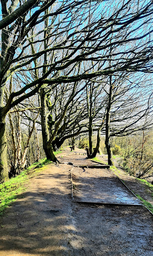 Oakwell Hall Countryside Centre and Play Area - Thumbnail