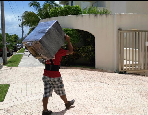 Removals and Relocation Treviño