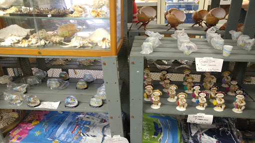 Discovery Seashell Museum - Visual