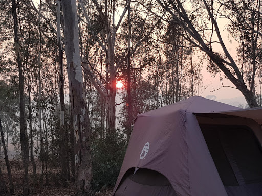 Harrops Flats Campground - Thumbnail
