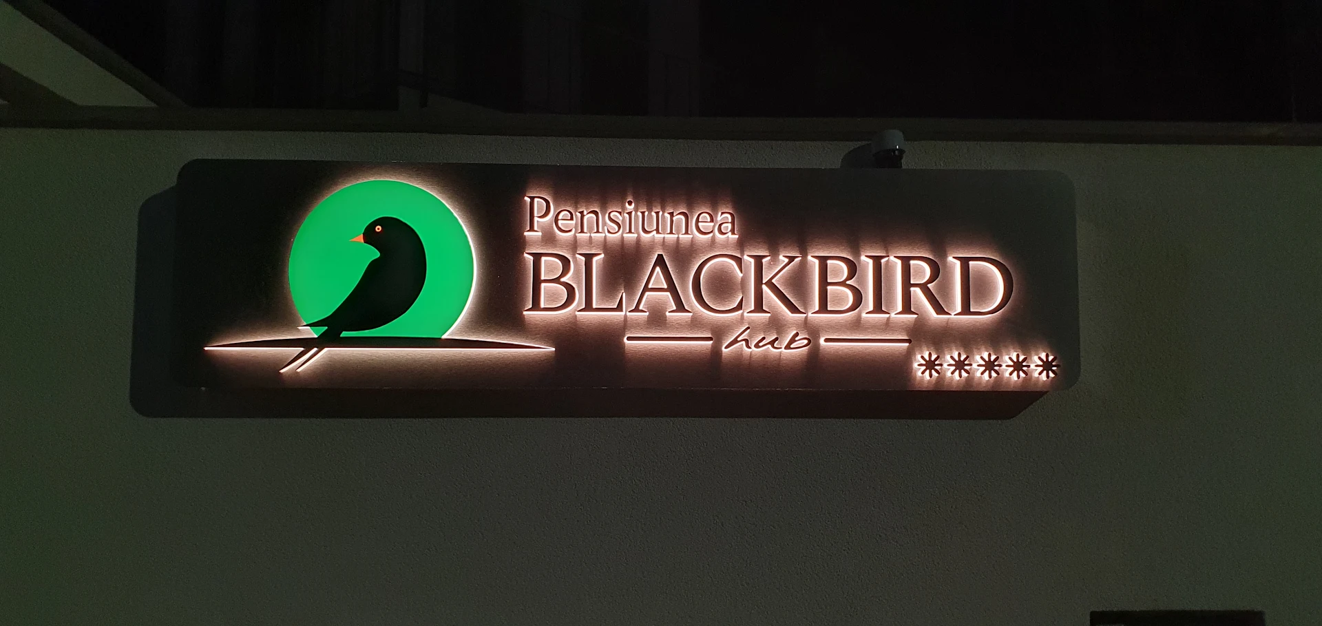 BlackBird HuB