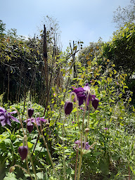 Photo n°6 de Le jardin du Revers à Notre-Dame-de-Cenilly (Jardin)