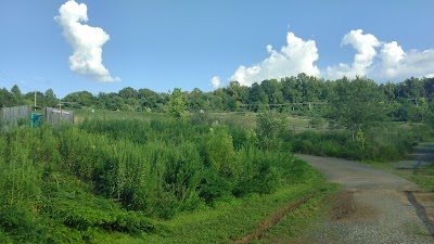 Ivy Creek Park