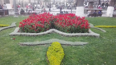 Photos of BATA