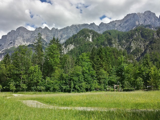 Nationalpark Gesäuse: Erlebniszentrum Weidendom