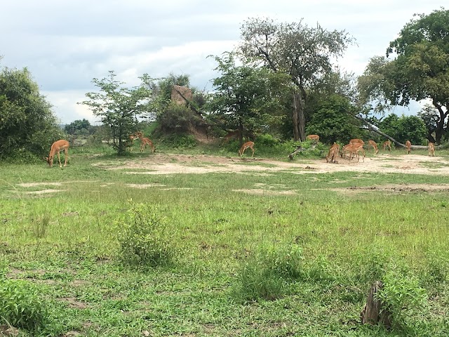 Mosi-oa-Tunya National Park