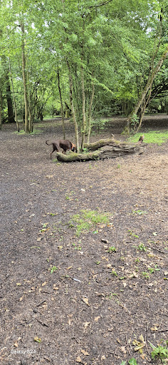 Wickwater Woods
