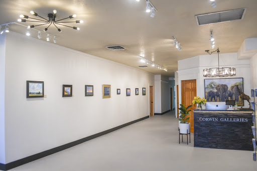 Corwin Galleries - Visual