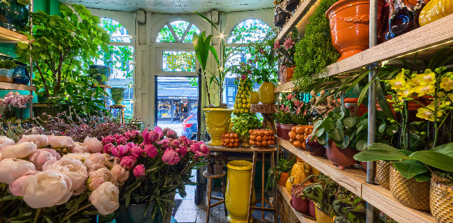 Bloemen van Cornelis - Antwerpen