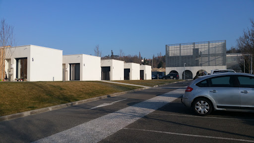 Photo de Les floralies