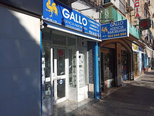Agencia Inmobiliaria Gallo - Thumbnail