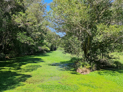 Mapleton Conservation Park - Visual
