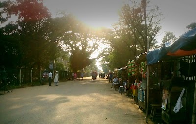 Photos of Court Road Bus Stop