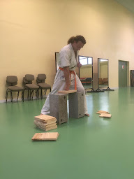 Photo n°3 de A.S.Omnisport - Karaté shinkyokushin & Kudo (MMA Budo) à Beaussais-sur-Mer (Club de karaté)