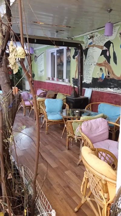 Photos of D&uuml;şbah&ccedil;esi
