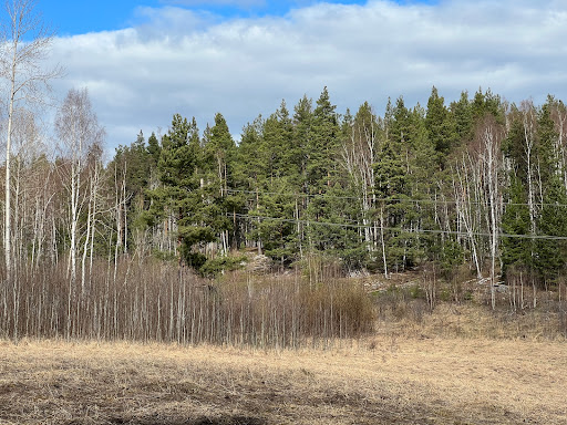 Rottnebyskogen - Thumbnail