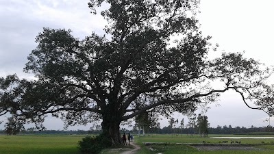 Photos of চকঝপু,জিগাতলা