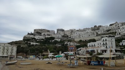Photos of Hotel Villa Venus