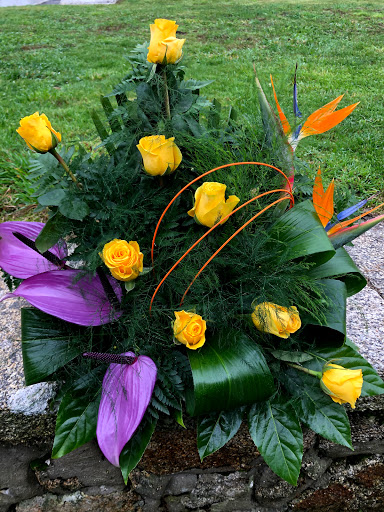 Floristería Junquillos