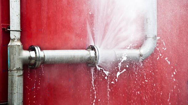 Kaufman Water Damage Experts photo