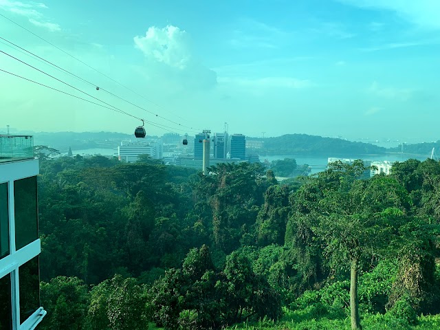 Mount Faber Photo View