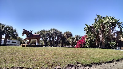 Photos of Fox Lea Farm