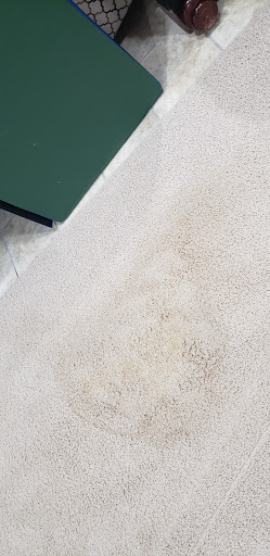 Carpet Cleaning Solutions and More - Thumbnail