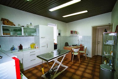 veterinary-care