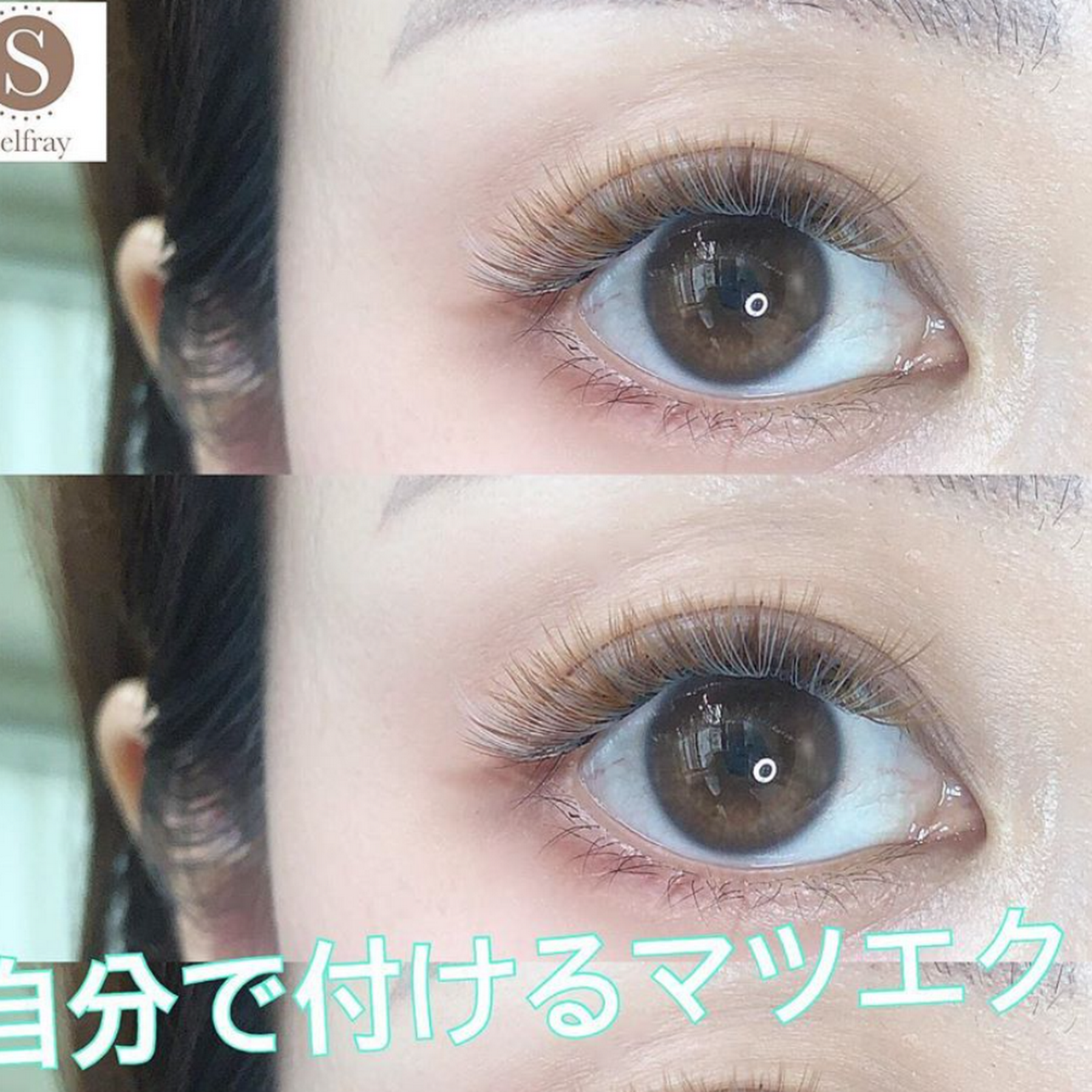 セルフマツエク専門商材 レッスン Selfray セルフレイ Bychelco Shop チェルコショップ Beauty Product Supplier