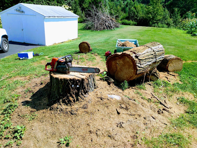 Up Your (s) Tree Service