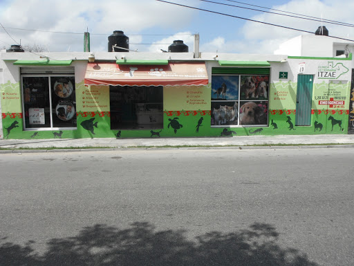 Centro Médico Veterinario Itzae