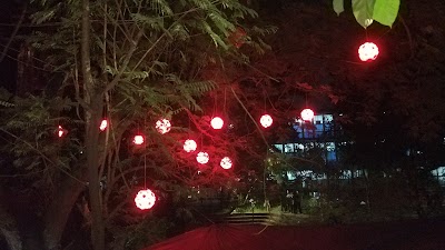 Photos of Sociology Yard