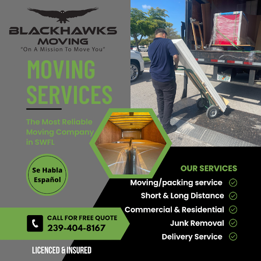 Blackhawks Moving - Visual