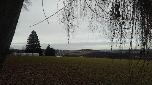 Grillhütte Großholbach - Thumbnail