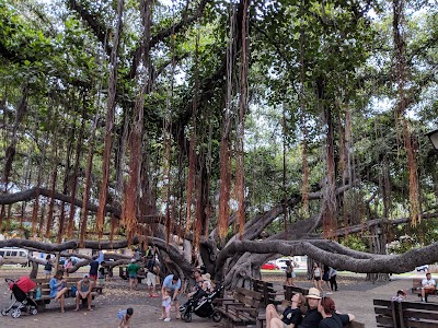 Banyan Inn Marketplace