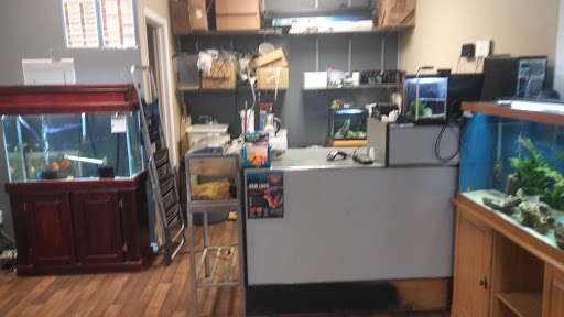 Serenity Aquariums LLC Gallery - United States
