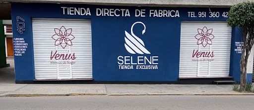 Blancos Selene Gallery - Mexico